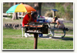 Grilling in the park Grilling in the park
